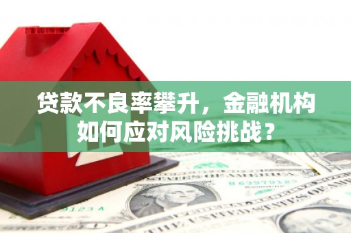 果洛贷款不良率攀升，金融机构如何应对风险挑战？
