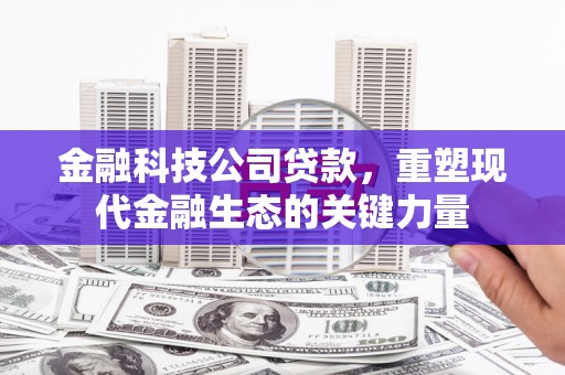 果洛金融科技公司贷款，重塑现代金融生态的关键力量