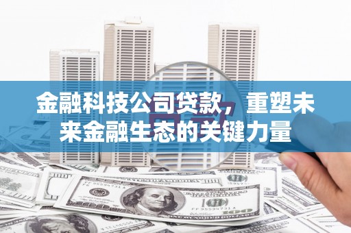 果洛金融科技公司贷款，重塑未来金融生态的关键力量
