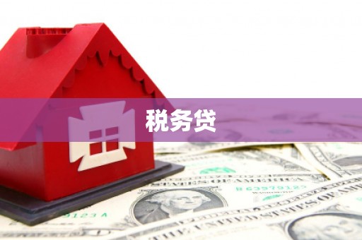 果洛税务贷