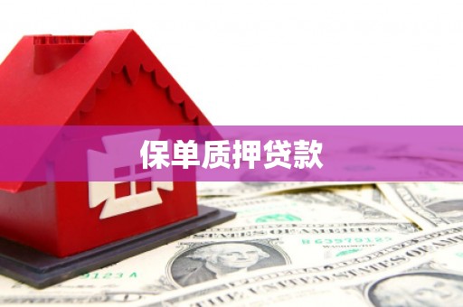果洛保单质押贷款
