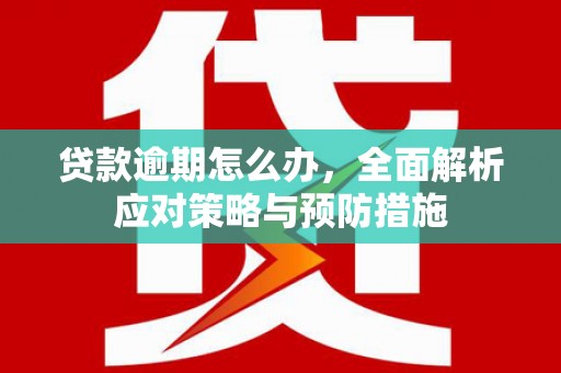 果洛贷款逾期怎么办，全面解析应对策略与预防措施