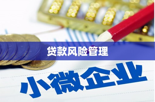 果洛贷款风险管理