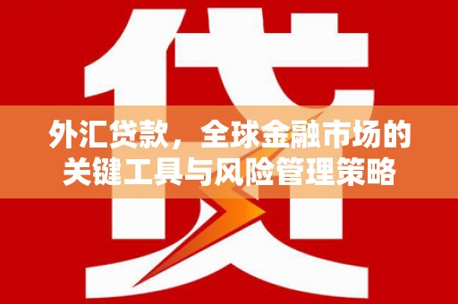 果洛外汇贷款，全球金融市场的关键工具与风险管理策略