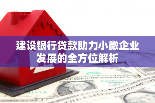 果洛建设银行贷款助力小微企业发展的全方位解析