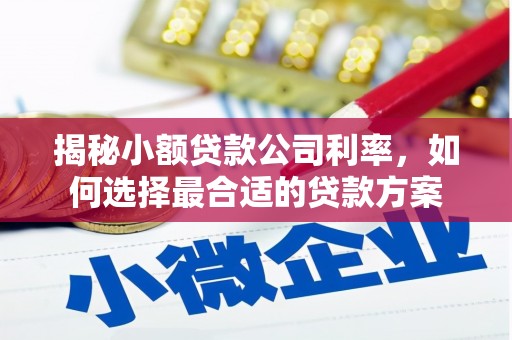 果洛揭秘小额贷款公司利率，如何选择最合适的贷款方案