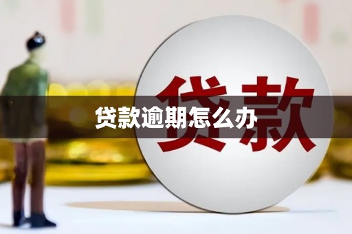 果洛贷款逾期怎么办