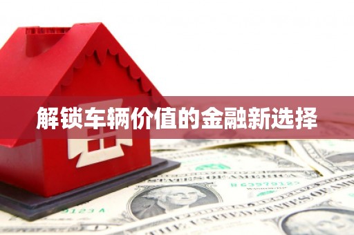 果洛解锁车辆价值的金融新选择