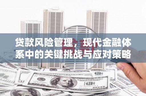 果洛贷款风险管理，现代金融体系中的关键挑战与应对策略