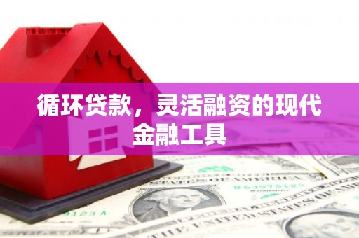 果洛循环贷款，灵活融资的现代金融工具