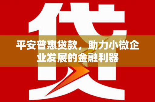 果洛平安普惠贷款，助力小微企业发展的金融利器