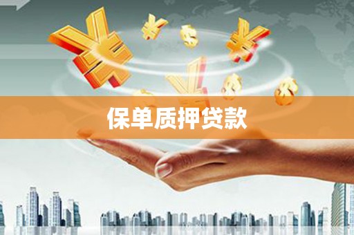果洛保单质押贷款