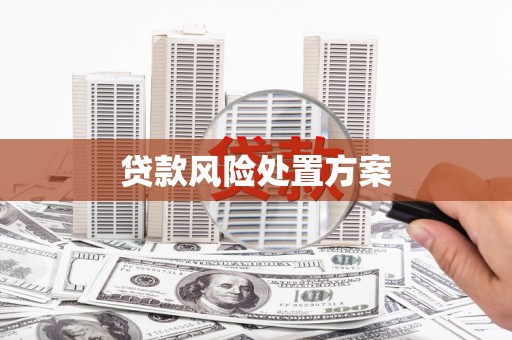 果洛贷款风险处置方案