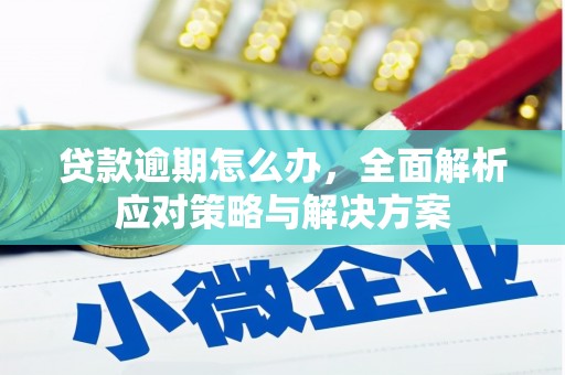 果洛贷款逾期怎么办，全面解析应对策略与解决方案