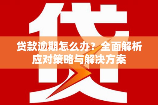 果洛贷款逾期怎么办？全面解析应对策略与解决方案