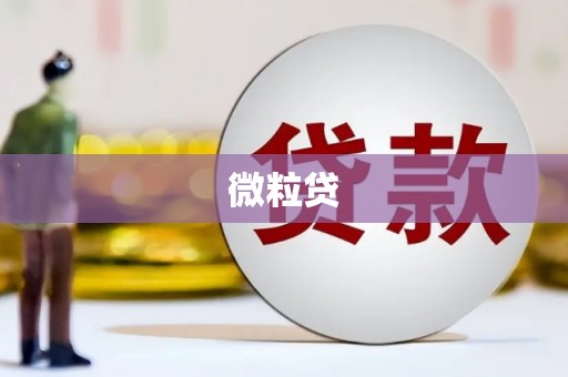 果洛微粒贷