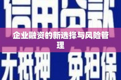 果洛企业融资的新选择与风险管理