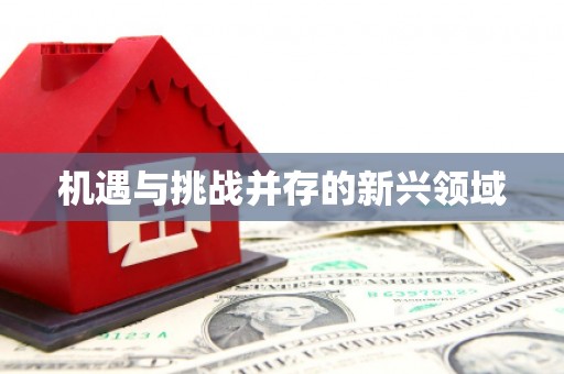 果洛机遇与挑战并存的新兴领域