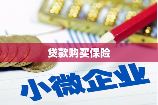 果洛贷款购买保险